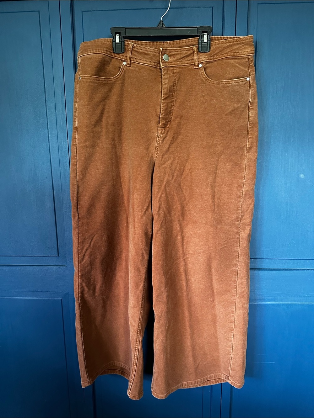 Wide-Leg High-Rise Pants in Rust Brown